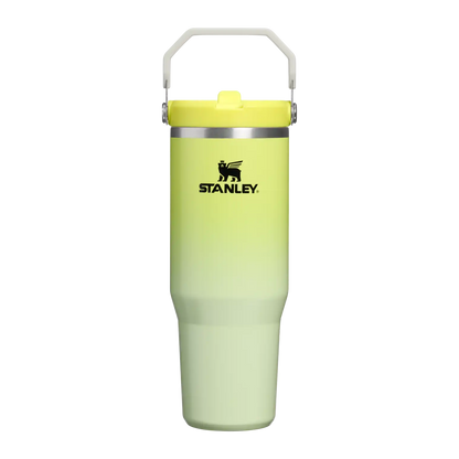 The IceFlow™ Flip Straw Tumbler | 30 OZ