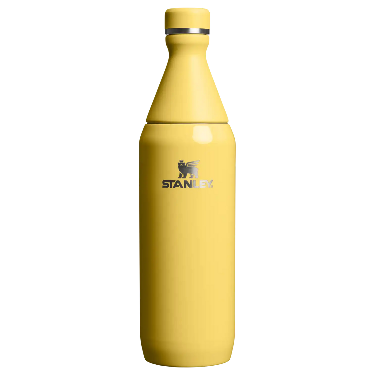All Day Slim Bottle | 20 OZ - Stanley Create