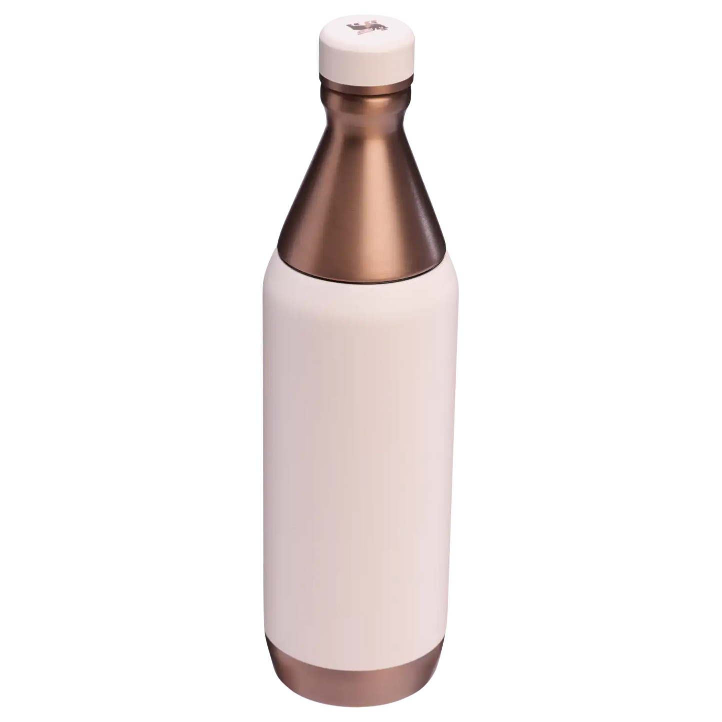 All Day Slim Bottle | 20 OZ - Stanley Create