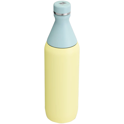 All Day Slim Bottle | 20 OZ - Stanley Create