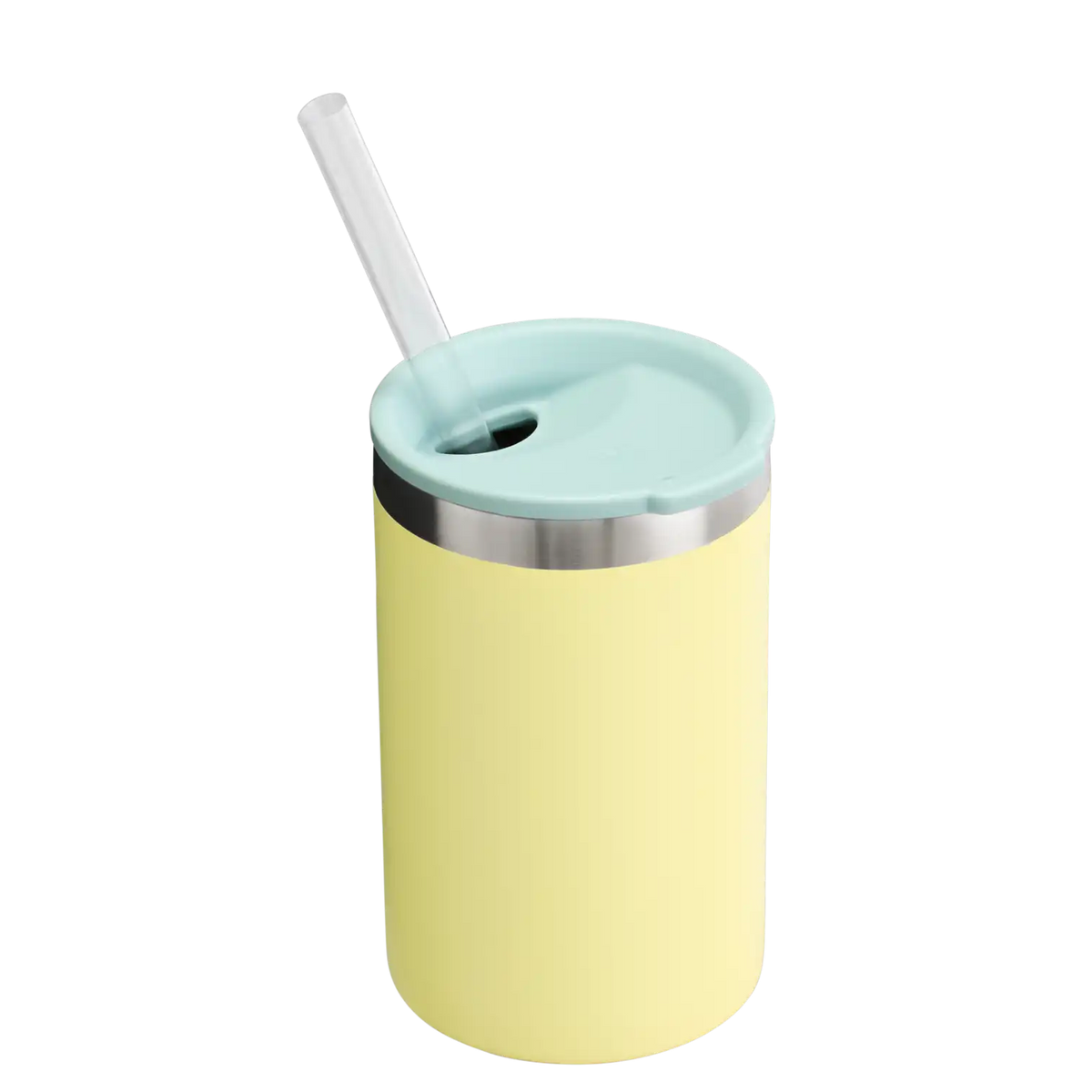 The Everyday Can Cooler Cup | 10 OZ - Stanley Create