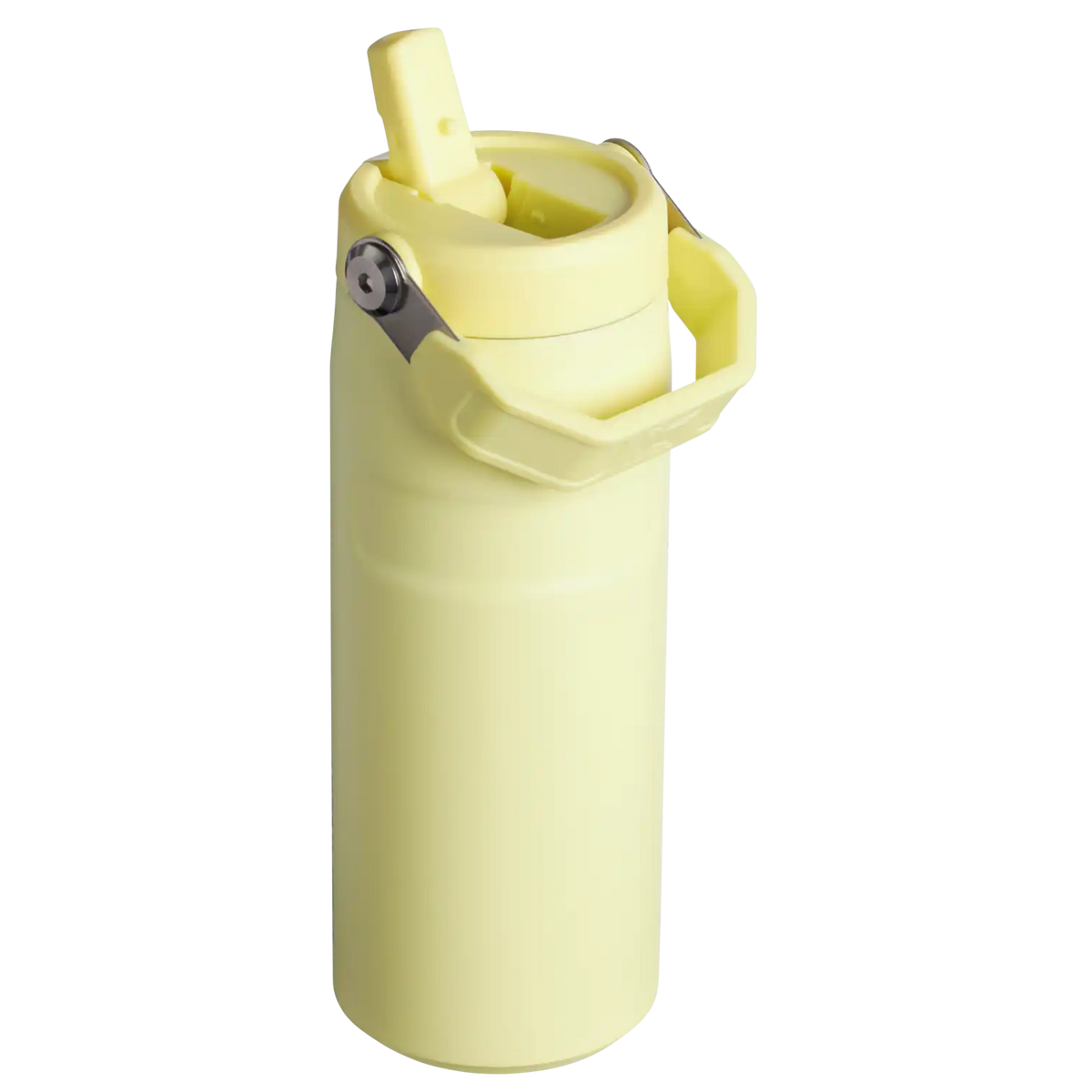 The IceFlow™ Bottle with Flip Straw Lid | 16 OZ